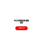 부산국제영화제 티켓팅 일정 야외상영작 온라인예매 현장창구 부산국제영화제 예매 일정