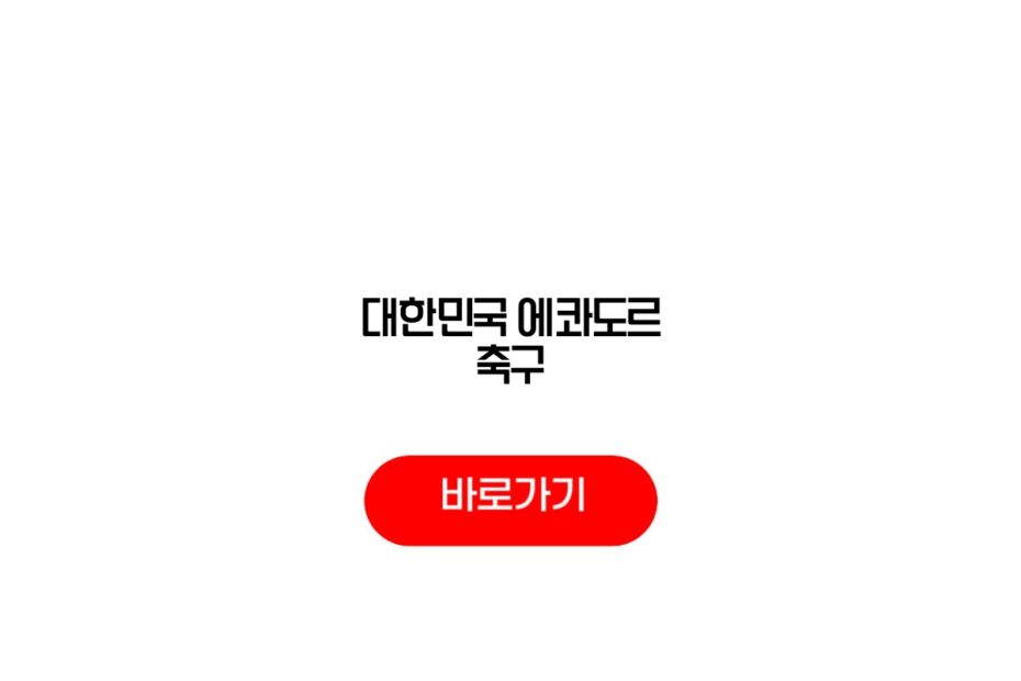 대한민국 에콰도르 축구