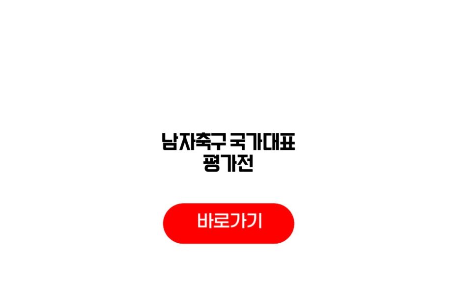 남자축구 국가대표 평가전