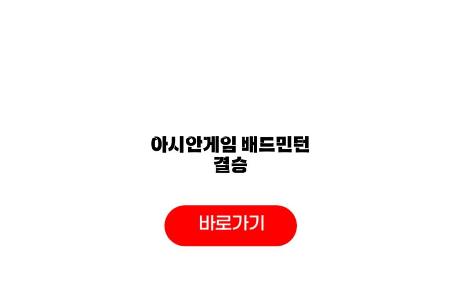 아시안게임 배드민턴 결승